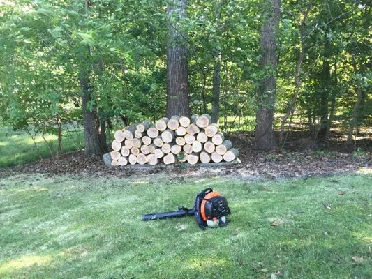 Rios Osorio's Services Logo