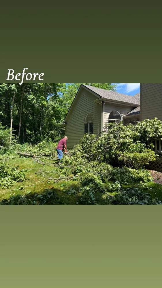 Trusted lawn care service in South Bend, IN by Rios Tree and Lawn Care