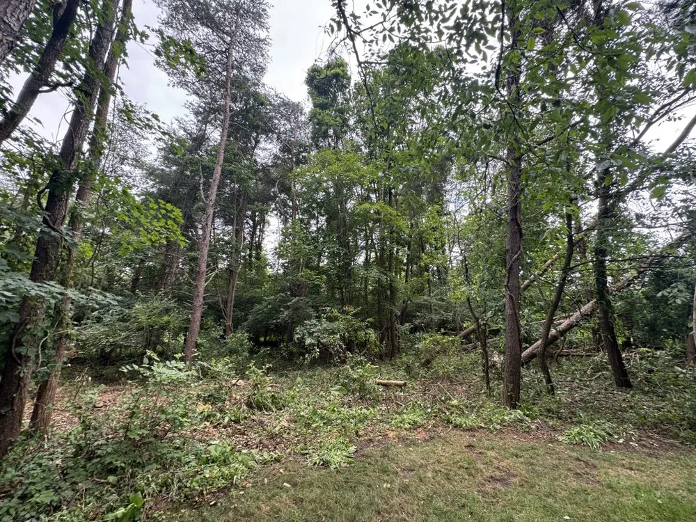 Top-rated landscape installation for year-round maintenance in South Bend, IN by Rios Tree and Lawn Care