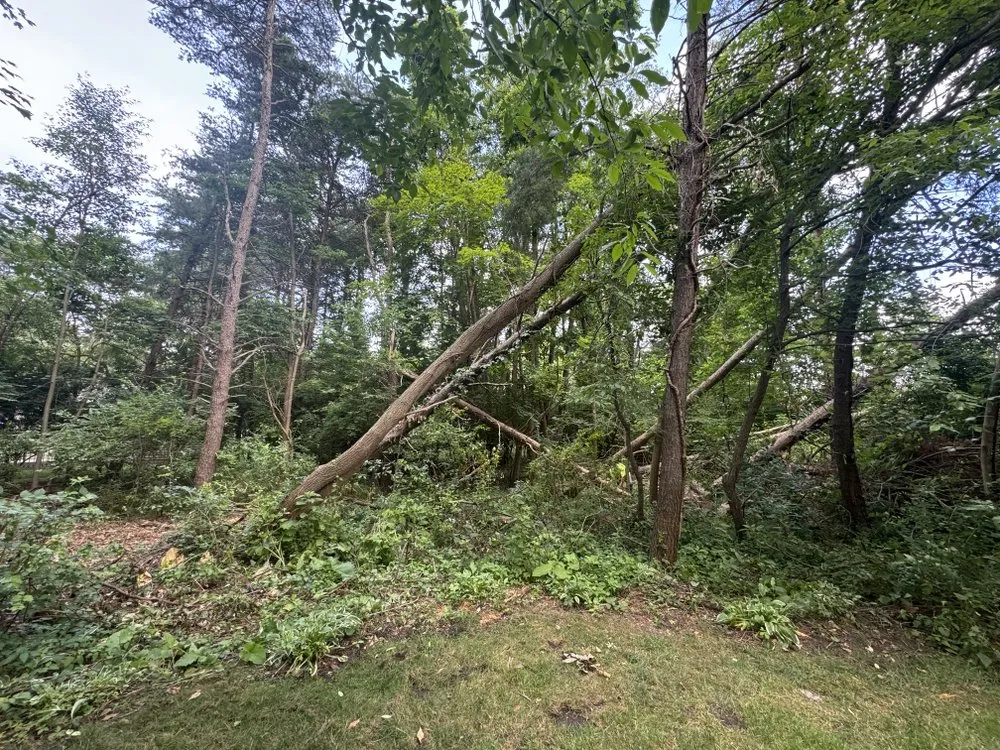 Professional landscape installation in South Bend, IN by Rios Tree and Lawn Care