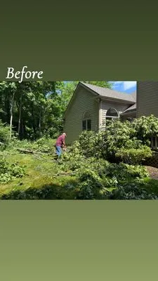 Rios Tree and Lawn Care Logo