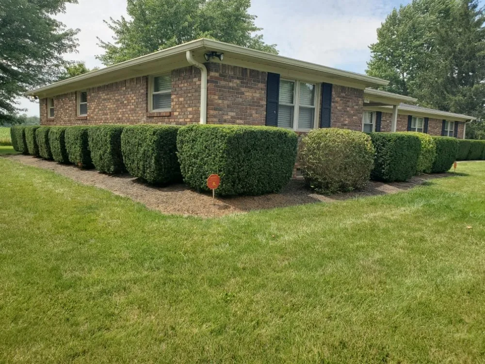 Local lawn care service with custom design across Indianapolis, IN - Rios Turf Care
