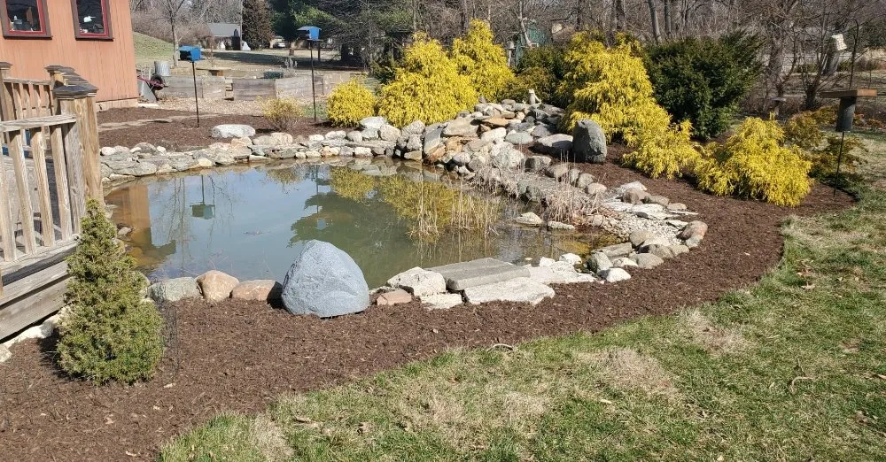 Top-rated yard maintenance for homes in Indianapolis, IN by Rios Turf Care