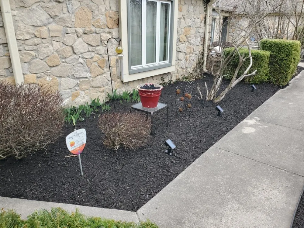 Affordable yard cleanup service for homes in Indianapolis, IN by Rios Turf Care