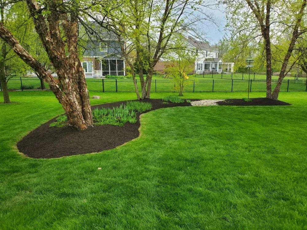 Reliable landscape installation in Indianapolis, IN - Rios Turf Care
