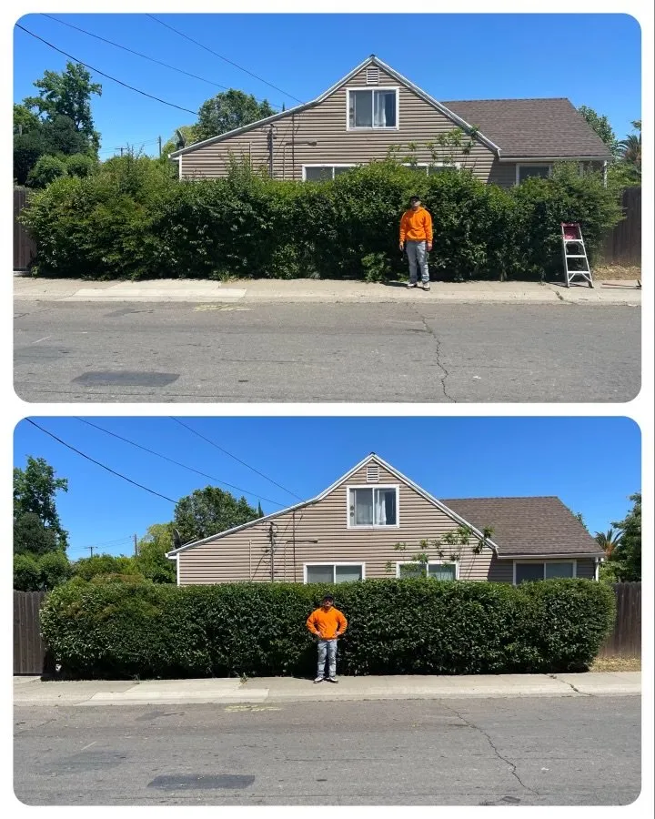 Reliable landscape design experts serving Sacramento, CA - Rios’s Best Lawn Care Services