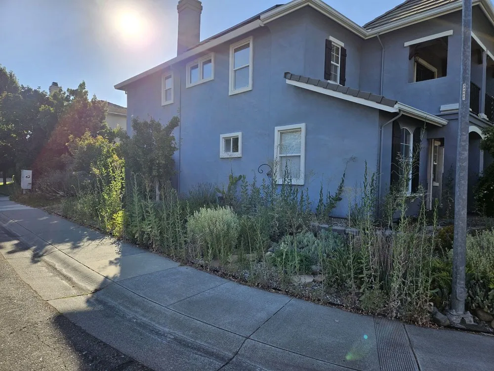 Trusted landscape design for year-round maintenance in Sacramento, CA by Rios’s Best Lawn Care Services