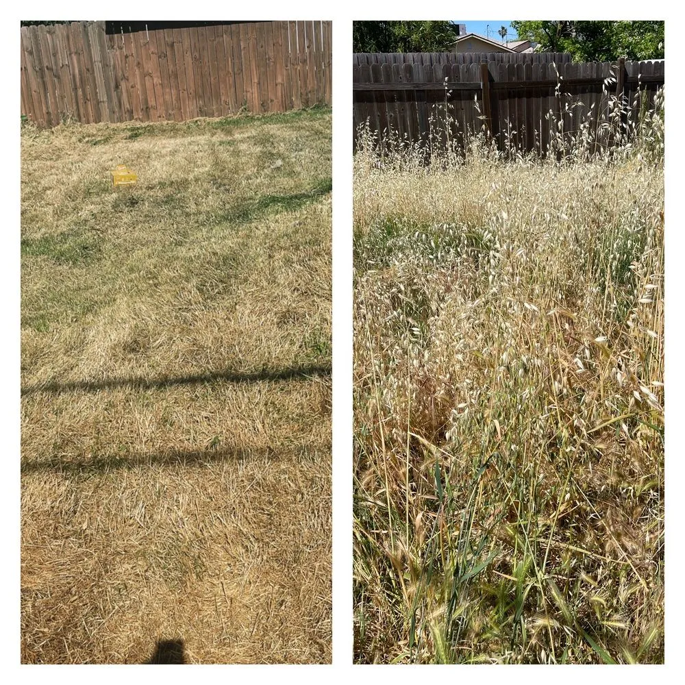 Custom landscaping services for year-round maintenance in Sacramento, CA by Rios’s Best Lawn Care Services