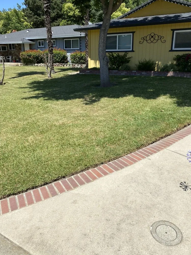 Affordable yard maintenance in Sacramento, CA - Rios’s Best Lawn Care Services