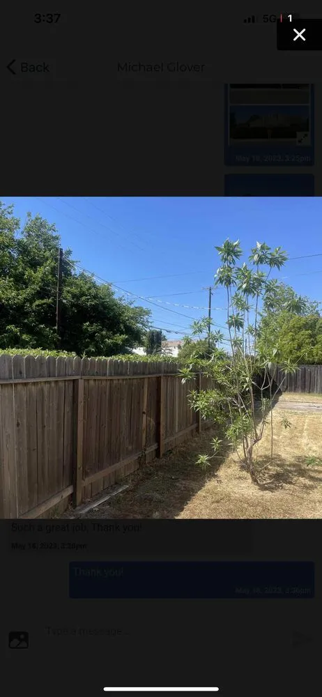 Affordable outdoor landscaping with custom design in Sacramento, CA by Rios’s Best Lawn Care Services