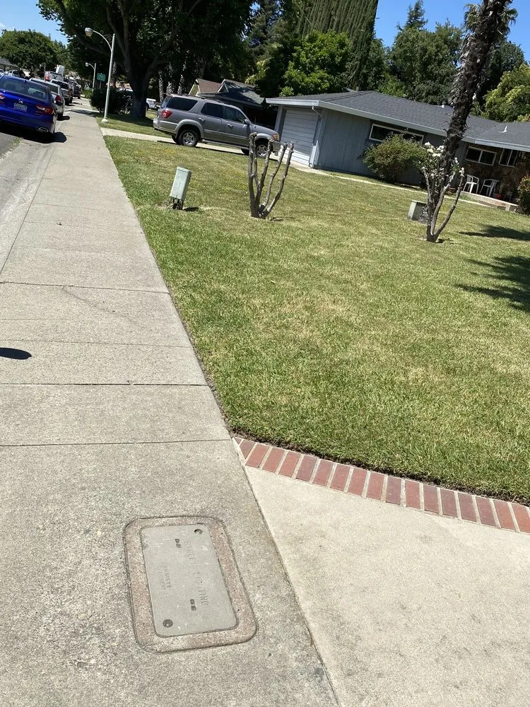 Professional landscaping services with custom design across Sacramento, CA - Rios’s Best Lawn Care Services