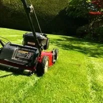 Custom outdoor landscaping experts serving Cary, NC - Rios's Grading & Landscaping