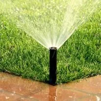 Top-rated landscaping services experts serving Cary, NC - Rios's Grading & Landscaping