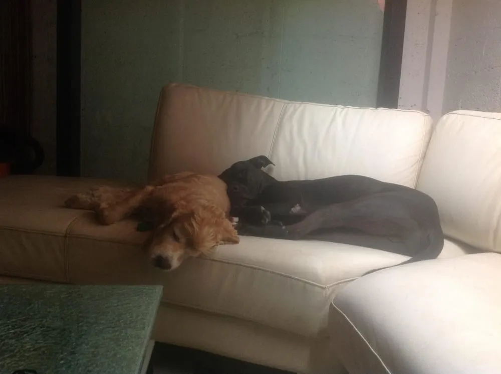 Professional garden landscaping near you in Miami, FL by Rip Environmental Services of South Florida, Inc.