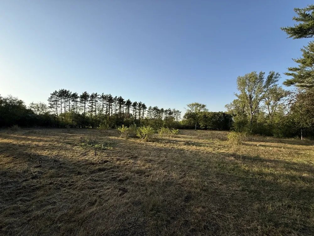 Expert lawn mowing service for outdoor upgrades in Ripon, WI by Rip’n Inferno Lawn Care