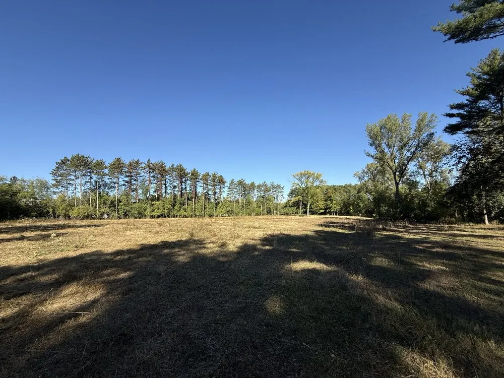 Local residential landscaping experts serving Ripon, WI - Rip’n Inferno Lawn Care