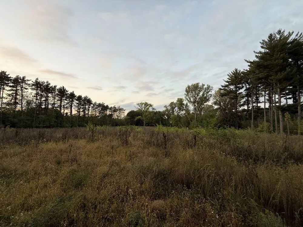 Professional landscaping services experts serving Ripon, WI - Rip’n Inferno Lawn Care