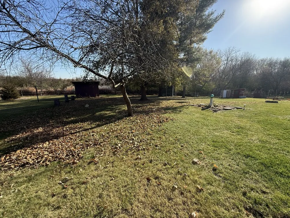 Local landscaping services experts serving Ripon, WI - Rip’n Inferno Lawn Care