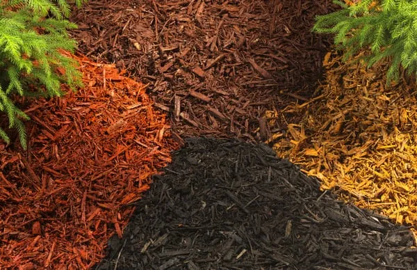 Ripon Wisconsin Mulch