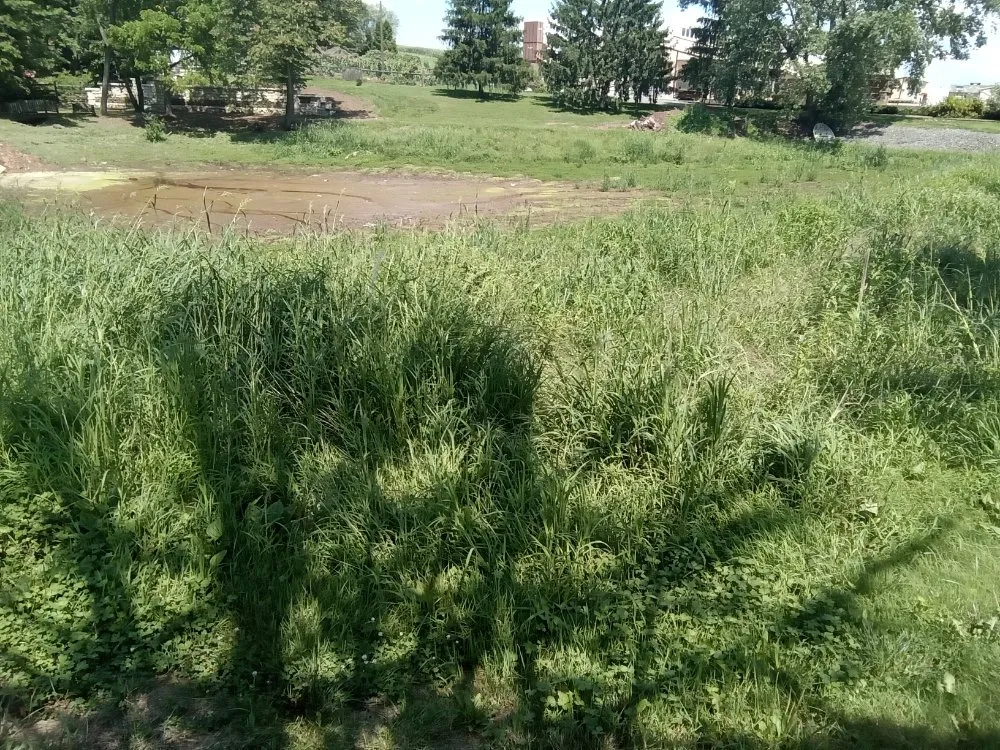 Expert garden landscaping in Hegins, PA - Rippling Brook Lawncare and More
