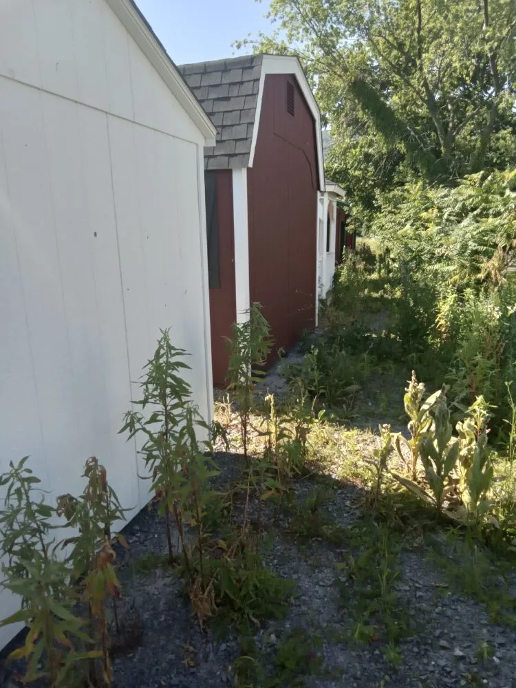 Trusted yard maintenance in Hegins, PA by Rippling Brook Lawncare and More