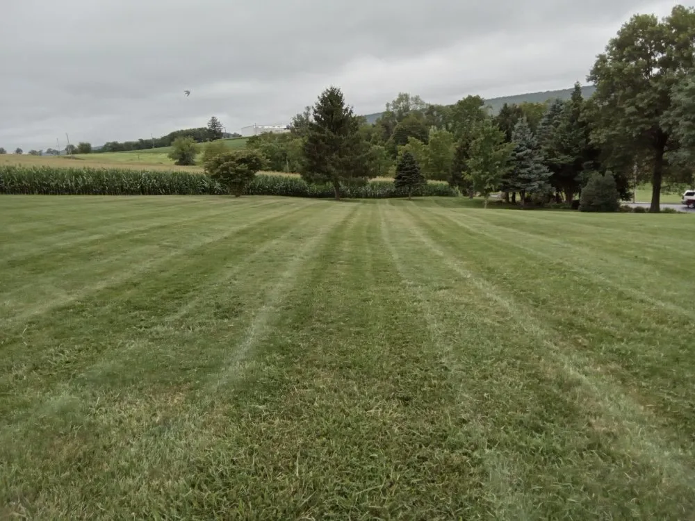 Expert lawn care service for beautiful yards across Hegins, PA - Rippling Brook Lawncare and More