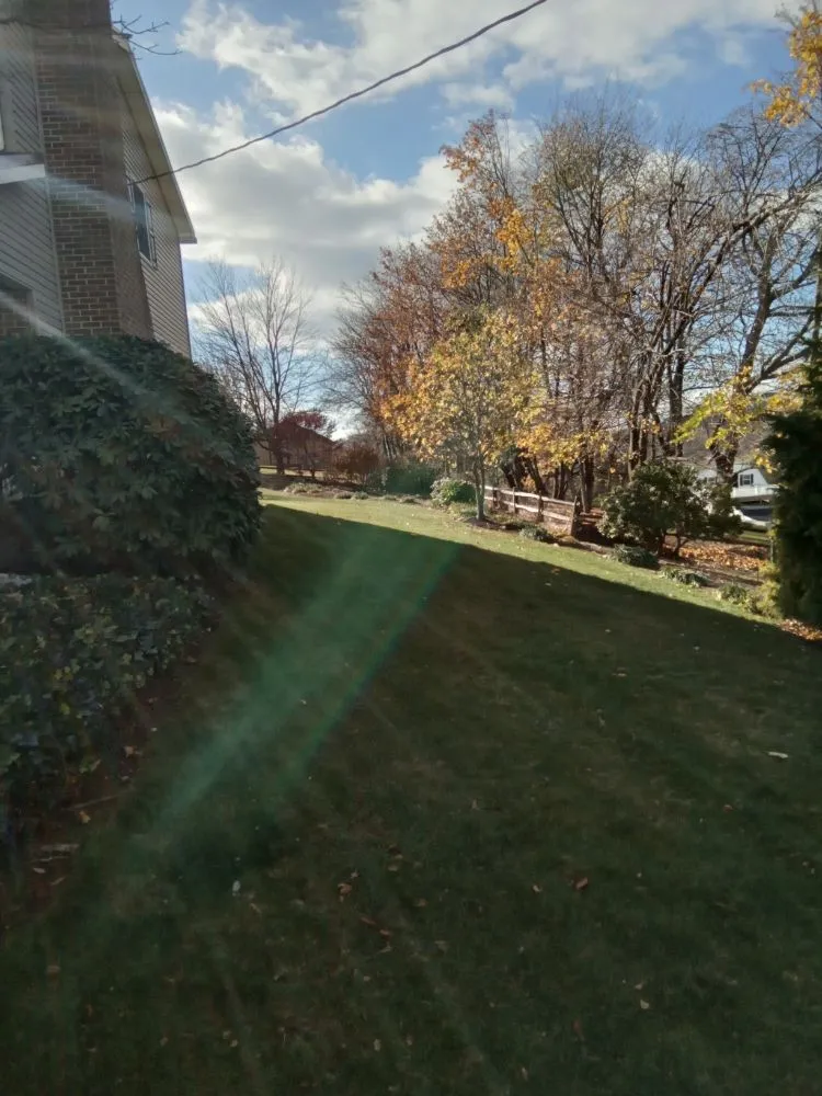 Expert yard maintenance in Hegins, PA - Rippling Brook Lawncare and More