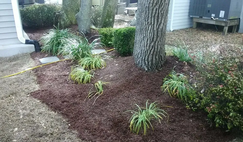 Affordable landscape installation experts serving Chesnee, SC - RipTide Landscapes