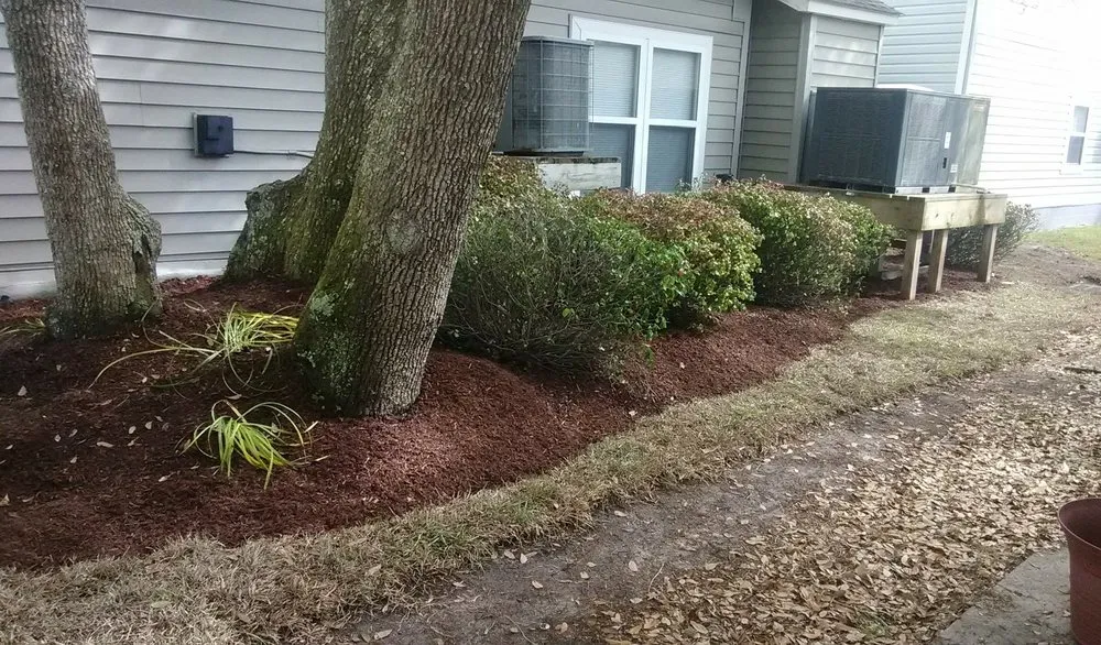 Expert yard maintenance experts serving Chesnee, SC - RipTide Landscapes
