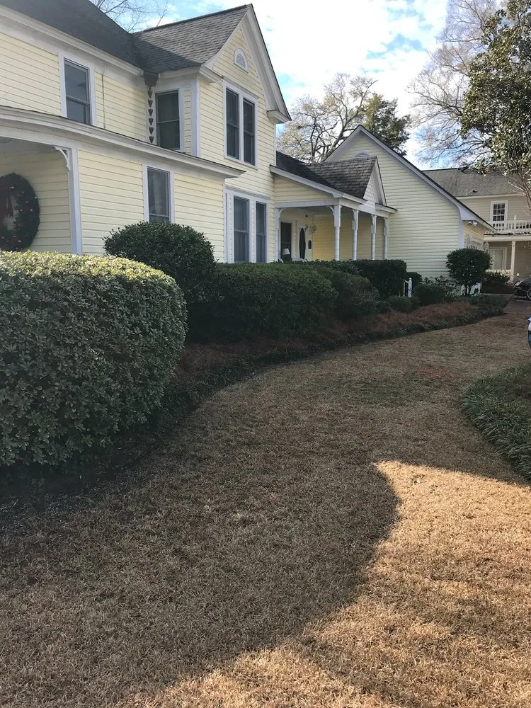 Reliable yard cleanup service in Chesnee, SC - RipTide Landscapes