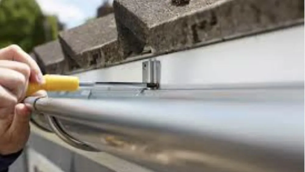 Trusted yard cleanup service experts serving Des Moines, IA - Risdal