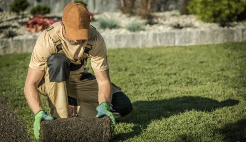 Custom lawn care service experts serving Des Moines, IA - Risdal