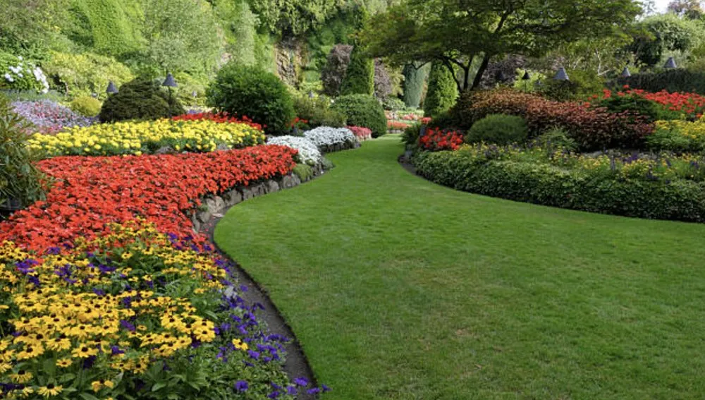 Reliable landscape installation for year-round maintenance across Des Moines, IA - Risdal