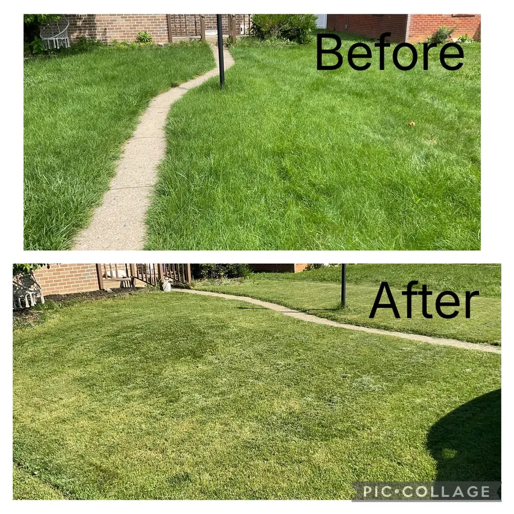 Top-rated yard maintenance in Fullerton, PA by Rise & Roots Lawn Care