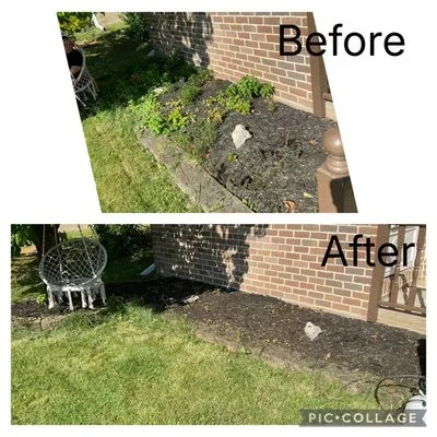 Rise & Roots Lawn Care