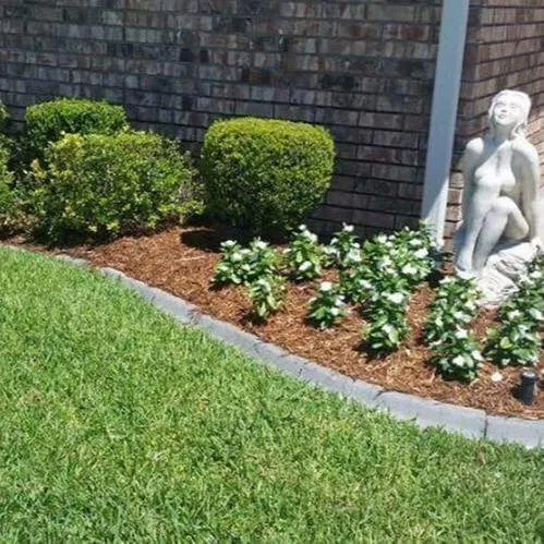 Top-rated landscape design experts serving Westwego, LA - Rise & Shine Lawn Service