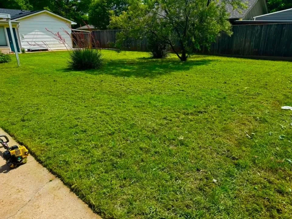 Affordable lawn care service for residential properties across Abilene, TX - Rise Above Handyman Service's