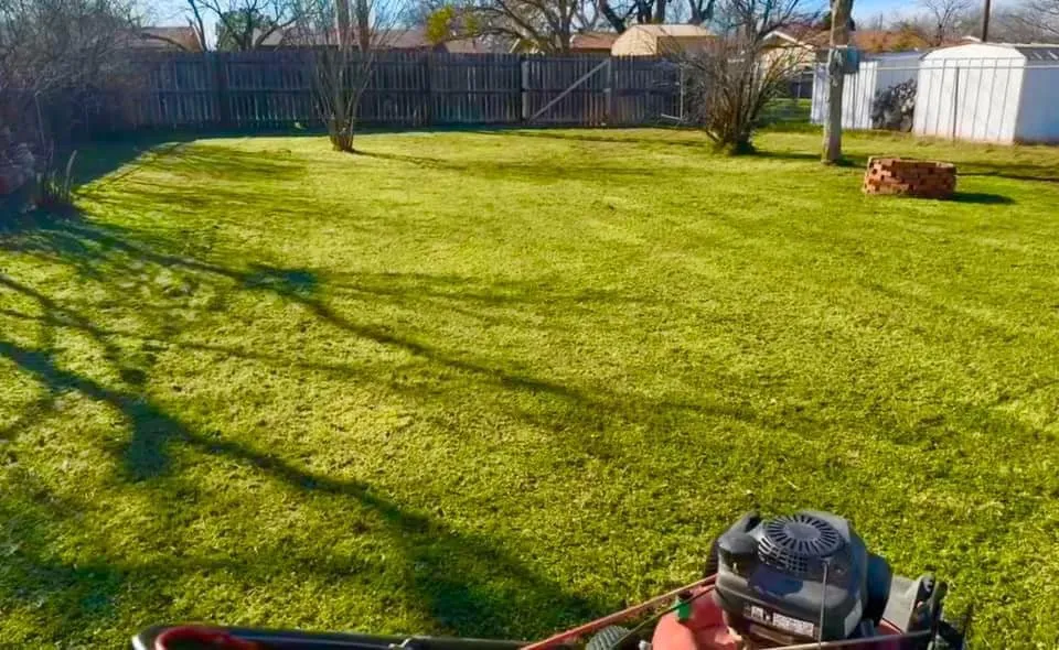 Trusted landscape installation for beautiful yards across Abilene, TX - Rise Above Handyman Service's