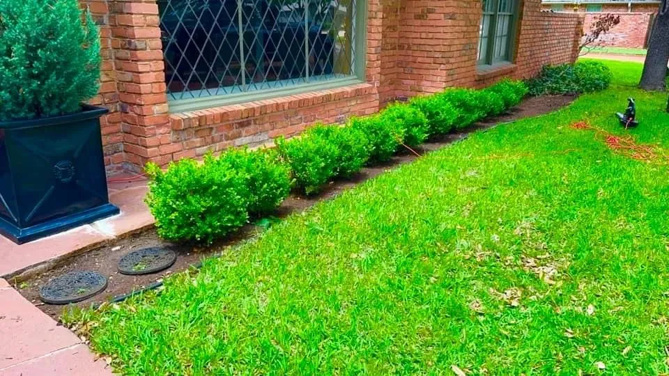 Reliable lawn mowing service in Abilene, TX - Rise Above Handyman Service's