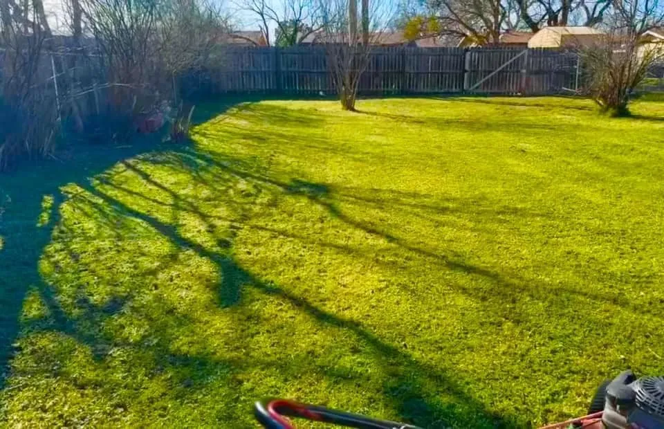 Professional garden landscaping in Abilene, TX - Rise Above Handyman Service's