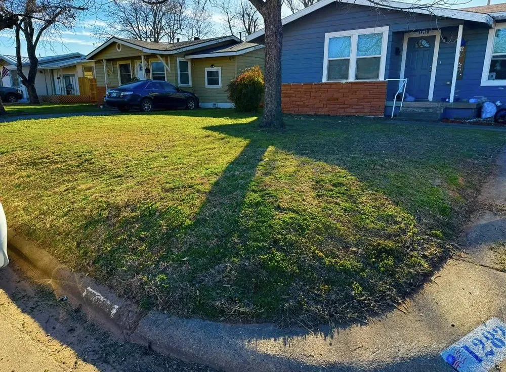 Professional landscaping services experts serving Abilene, TX - Rise Above Handyman Service's