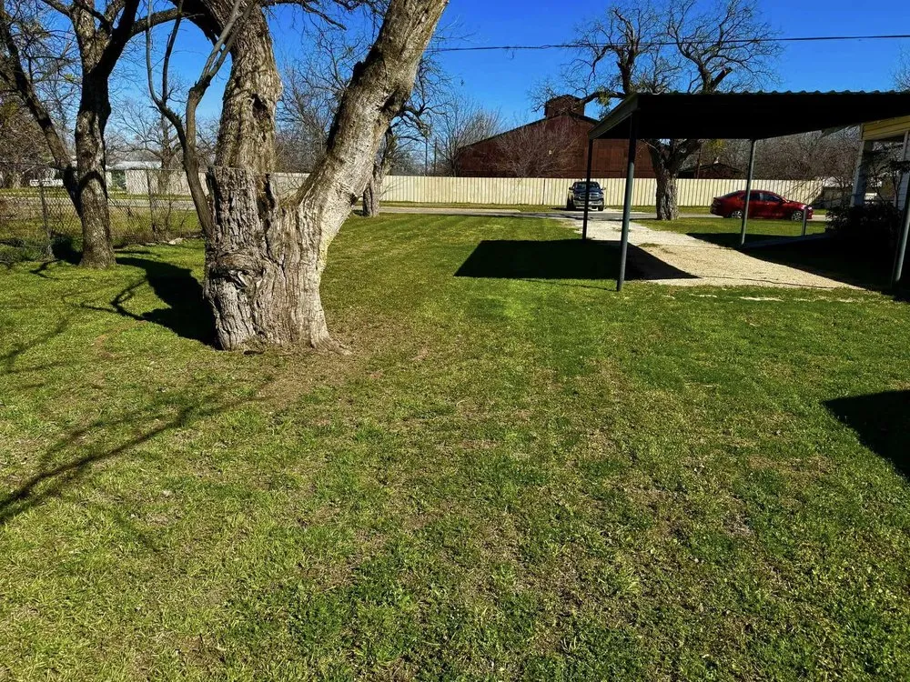 Affordable lawn care service in Abilene, TX - Rise Above Handyman Service's