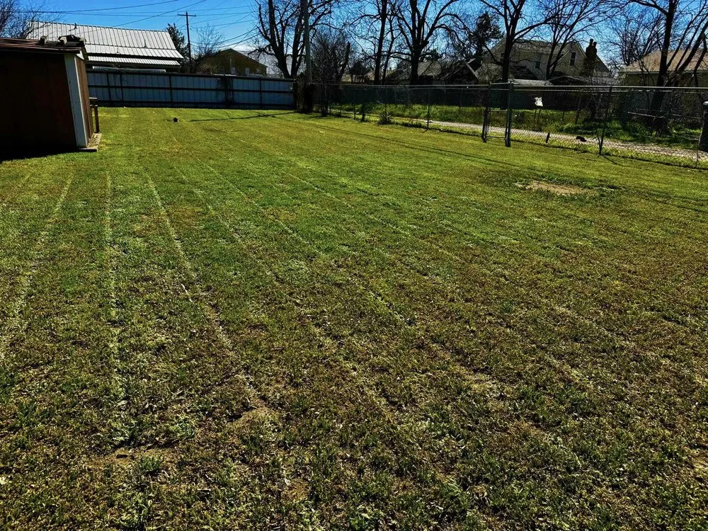 Affordable garden landscaping for year-round maintenance in Abilene, TX by Rise Above Handyman Service's