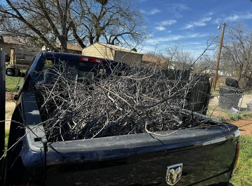 Reliable landscape design for homes across Abilene, TX - Rise Above Handyman Service's