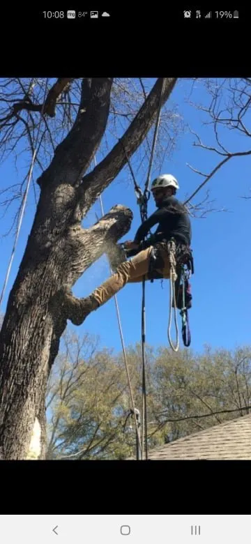 Reliable outdoor landscaping in Fort Worth, TX by Rise and Grind Tree Service