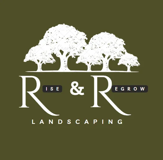 Professional landscape design experts serving Phoenix, AZ - Rise and Regrow Landscaping