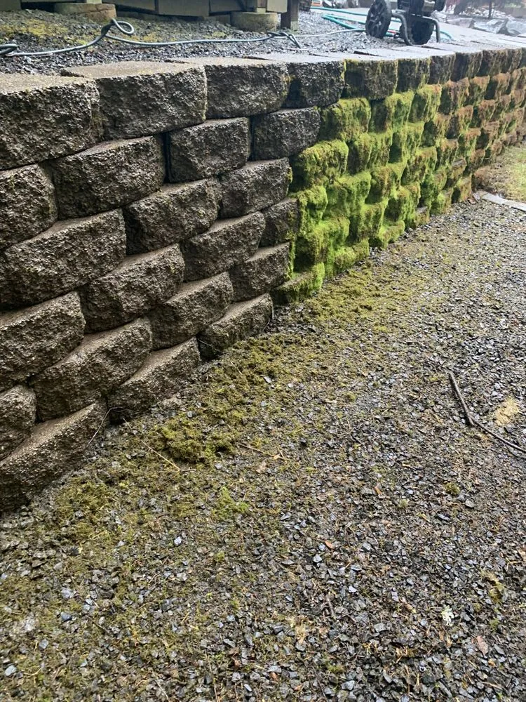 Expert yard maintenance in Vancouver, WA - Rise and Shine House Care