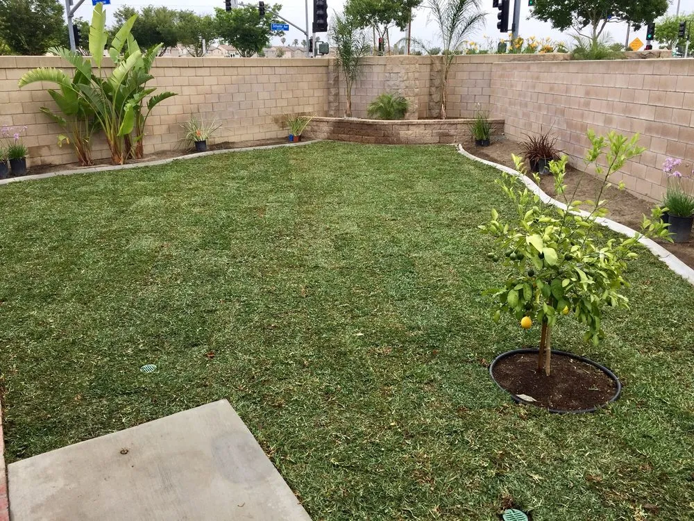 Local landscape installation experts serving La Puente, CA - Rise and Shine Landscaping