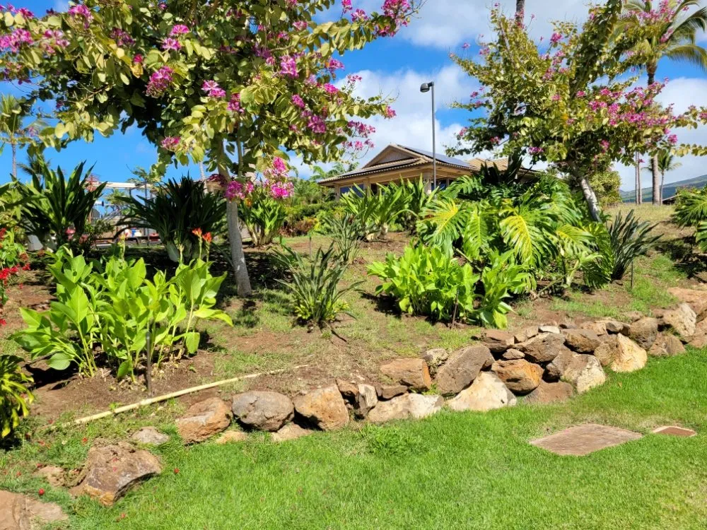 Reliable outdoor landscaping in Makawao, HI - Rise and Shine Landscaping