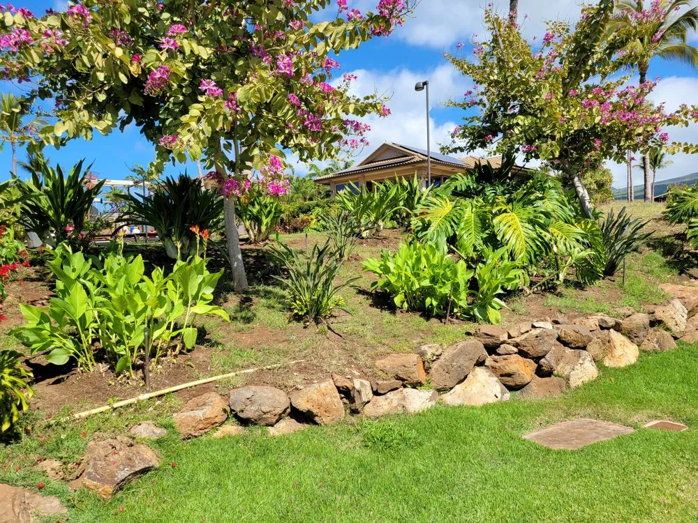Local lawn mowing service in Makawao, HI - Rise and Shine Landscaping